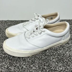 Tom’s white Sneakers Size 8.5